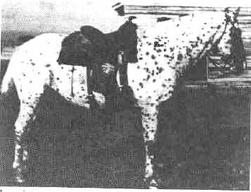 JUAQUIN