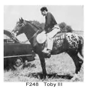 TOBY III