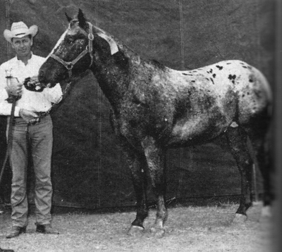 LITTLE BRITCHES K