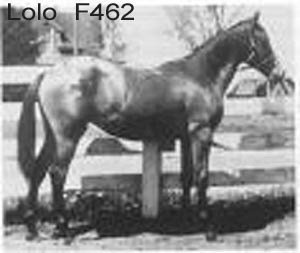 Lolo
