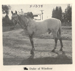 DUKE OF WINDSOR