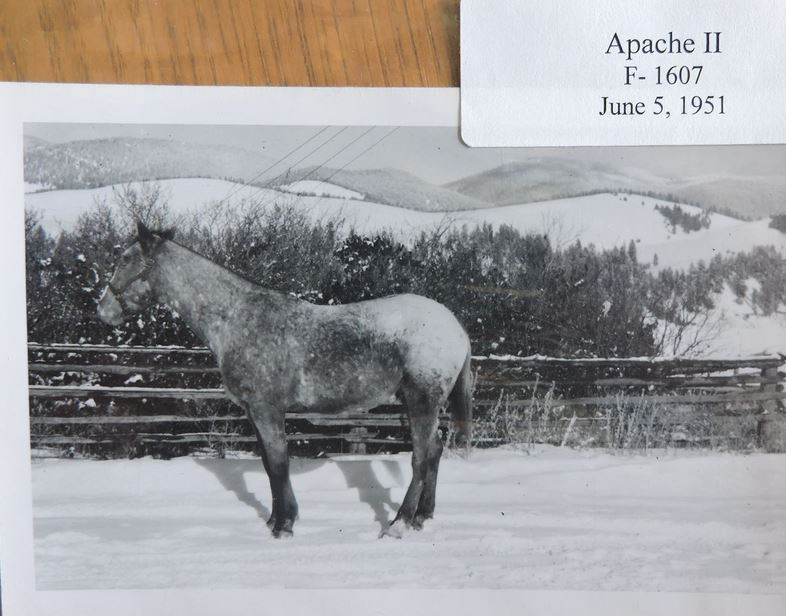 APACHE II