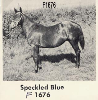 SPECKLED BLUE