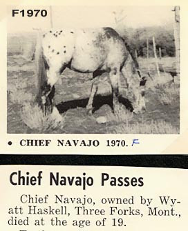 CHIEF NAVAJO