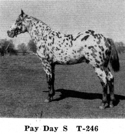 Pay Day S