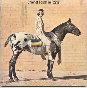CHIEF OF FOURMILE