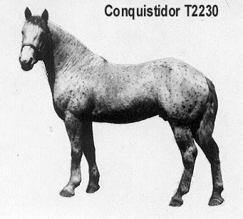 CONQUISTIDOR