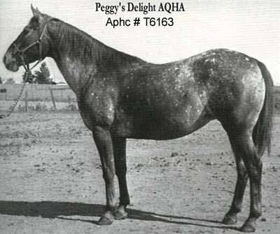 PEGGY'S DELIGHT