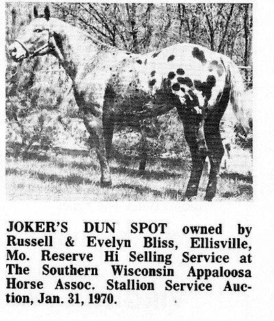 JOKER'S DUN SPOT