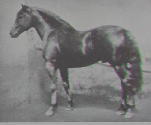 WINTERSET