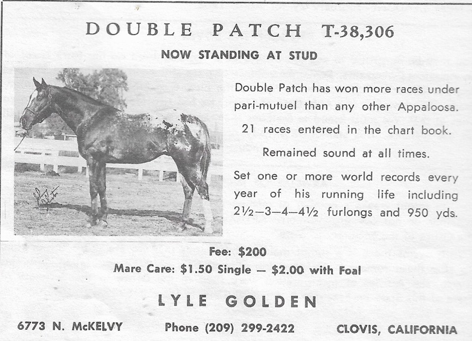 DOUBLE PATCH