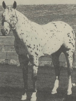 TUMALO