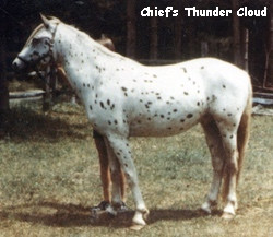 CHIEFS THUNDER CLOUD
