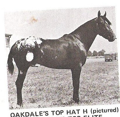 OAKDALES TOP HAT H